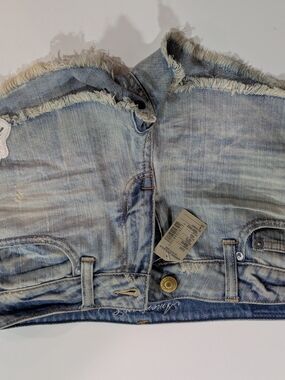 American Eagle Outfitters Light Blue Frayed Ankle Jeans